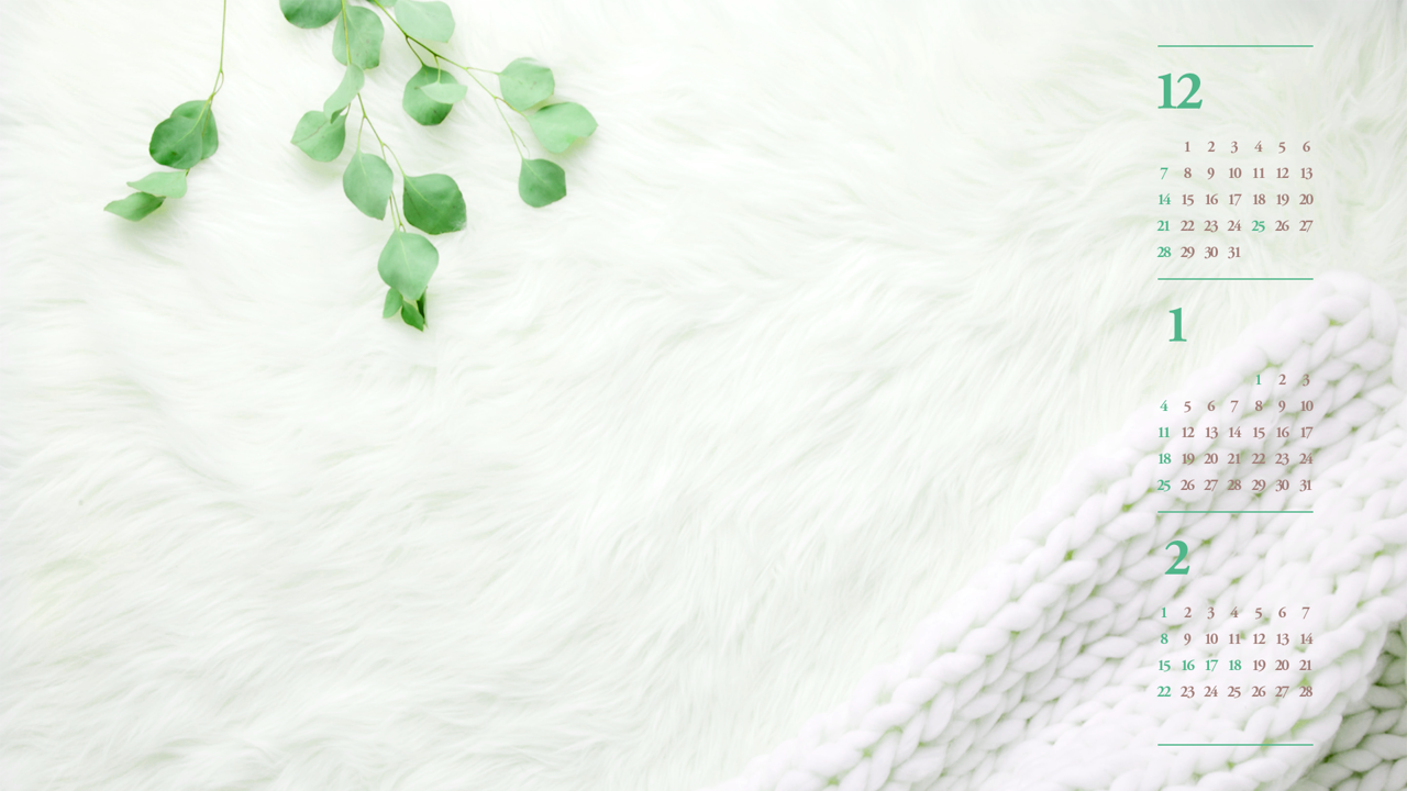 06 흰색 털 B - 2026년1월 달력배경화면