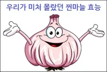 우리가 미처 몰랐던 찐마늘 효능