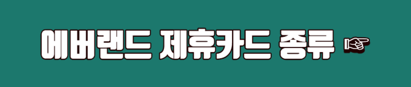 에버랜드 제휴카드 조회하기