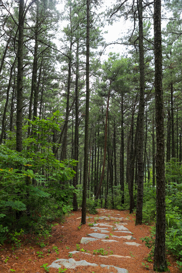 대구 가볼만한 단풍 여행은 어디일까? 대구 단풍 여행 총정리!