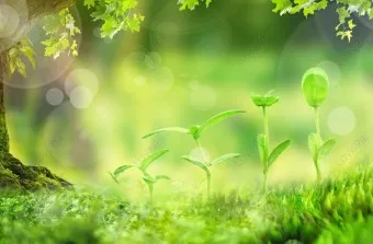 봄 이미지 일러스트 따뜻한 봄 꽃 예쁜 이미지_3