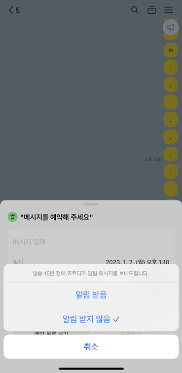 카카오톡 예약 메시지 알림 여부