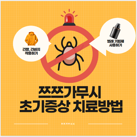 쯔쯔가무시 초기증상 치료방법