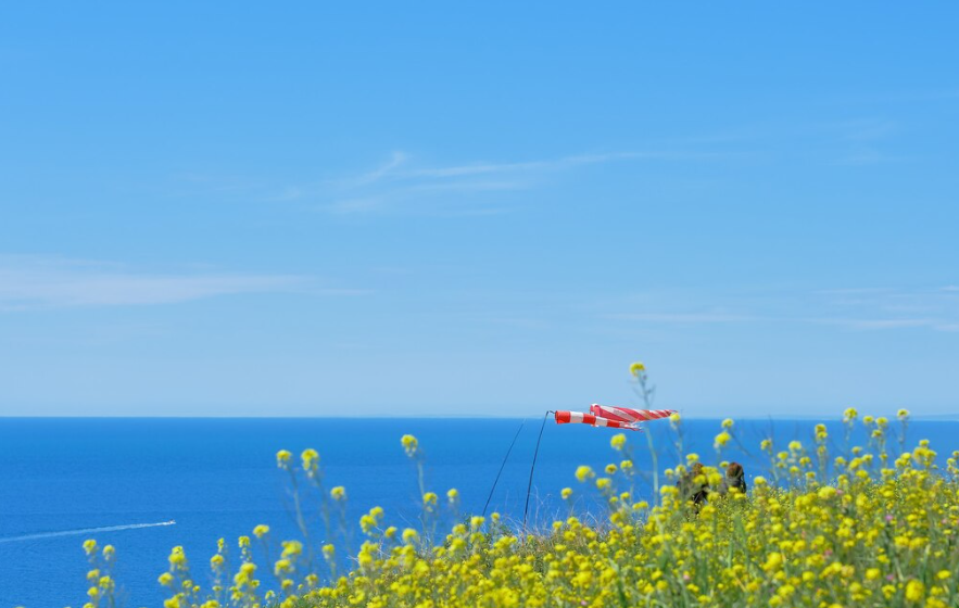 3월 국내여행지 베스트 10