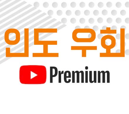 유튜브-인도-우회
