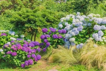 제주 여름 축제 일정표 불꽃놀이 포함 행사 소개_22