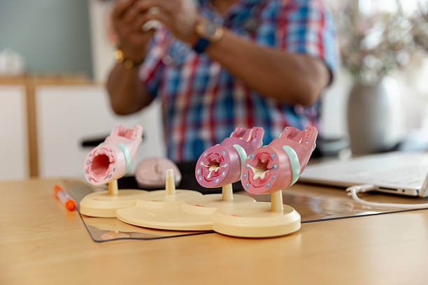 고지혈증 증상 자가진단 체크리스트, 치료 가이드 까지!