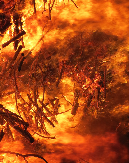 일상생활 배상책임보험