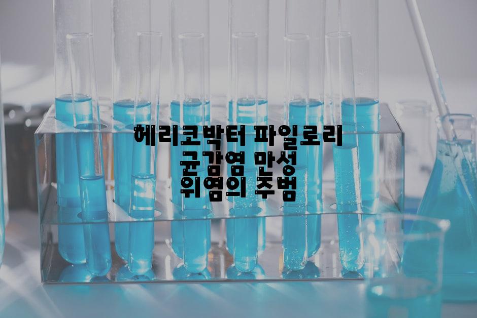 헤리코박터 파일로리 균감염 만성 위염의 주범