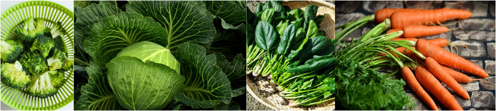 브로콜리, 양배추, 시금치, 당근