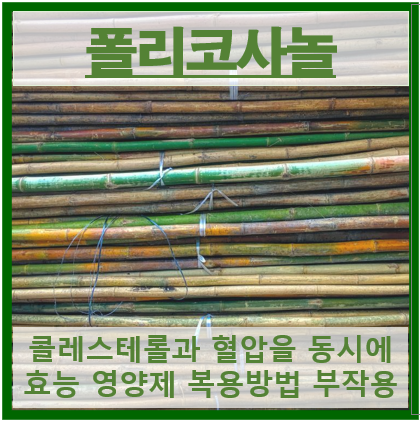 폴리코사놀 썸네일