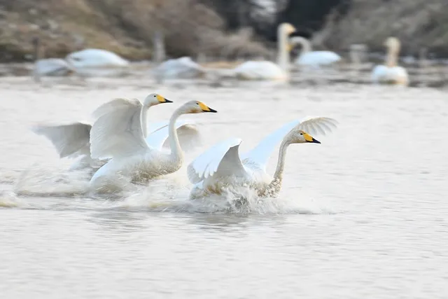 동행복권 홈페이지 바로가기 홈페이지_5