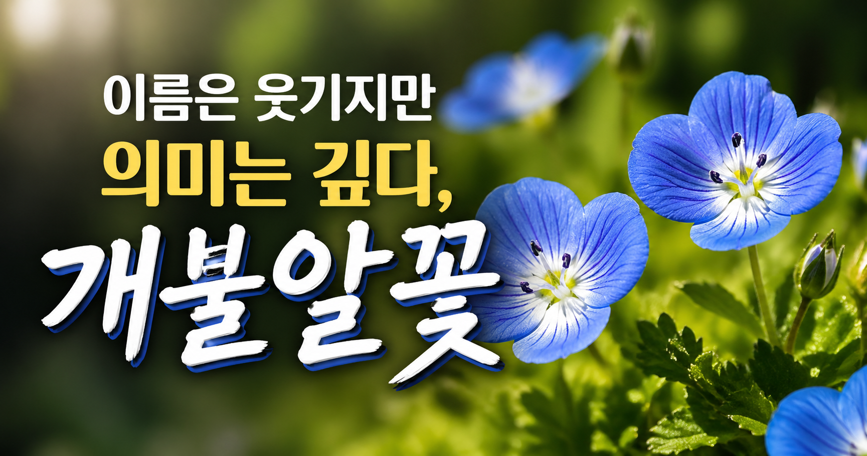 개불알꽃 꽃말