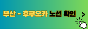 부산 후쿠오카 노선 확인