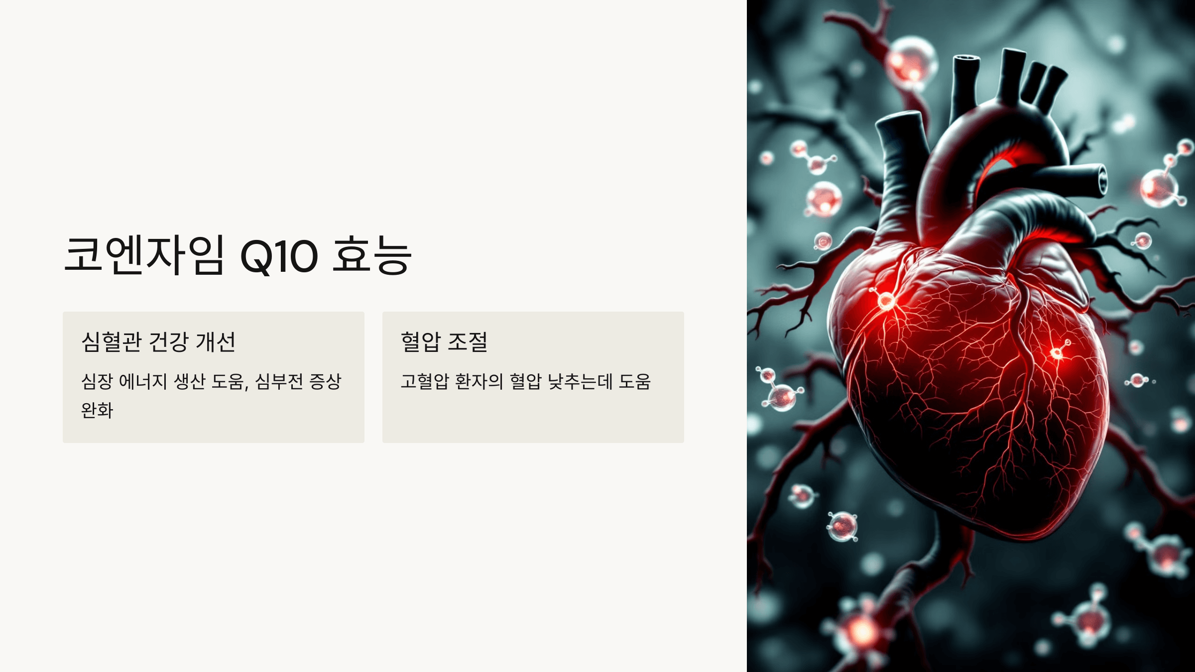 코엔자임q10과 관련된 사진입니다.