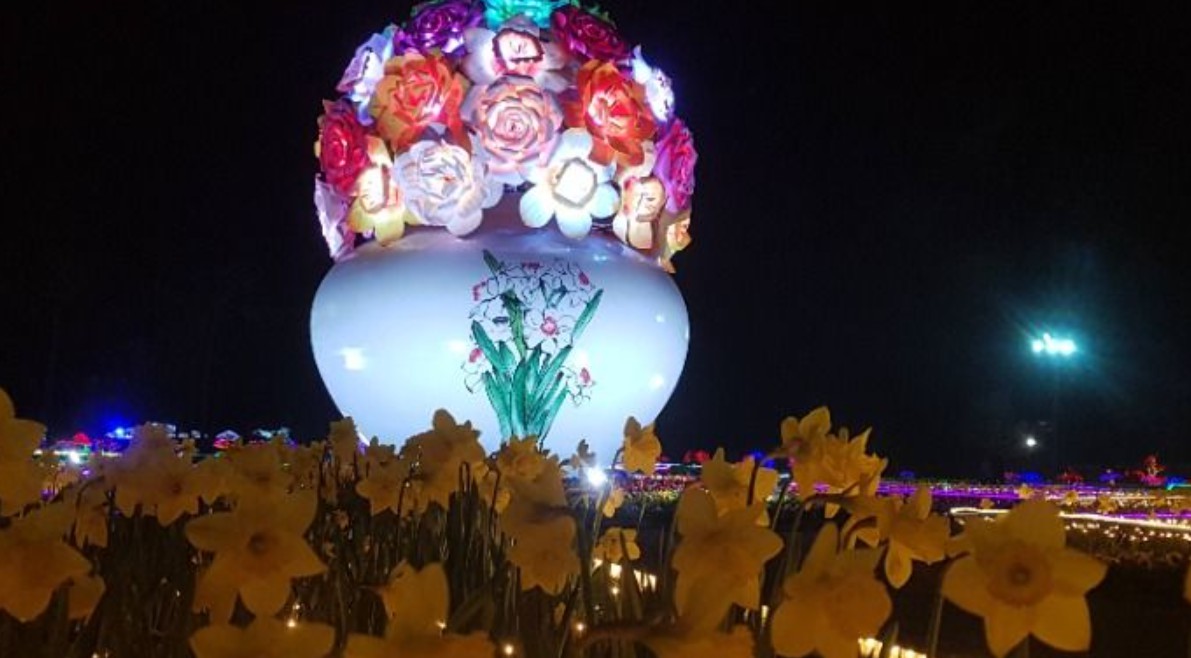 2025 태안 봄꽃정원