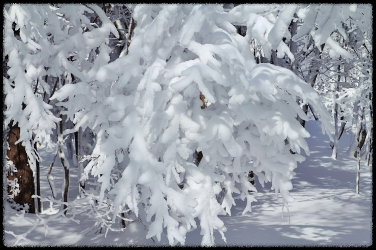 국내 겨울 설경 여행지 Best 10: 눈 덮인 명소와 일출&middot;일몰 스팟