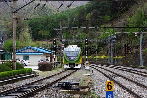 추석 기차표 예매 취소표