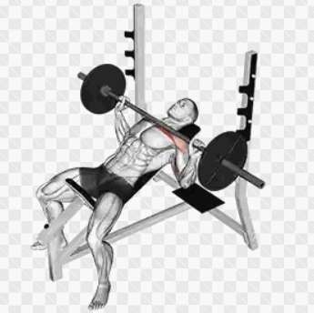 인클라인 벤치프레스