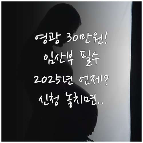 전남 영광군 임산부 30만원 교통비 ..