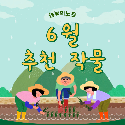 6월에 심는 추천 작물