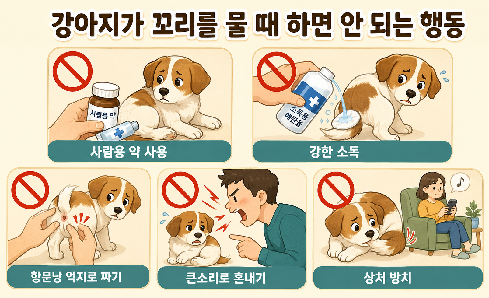 강아지가 꼬리를 물 때 사람용 약 사용과 강한 소독 등 보호자가 하면 안 되는 행동을 설명하는 이미지