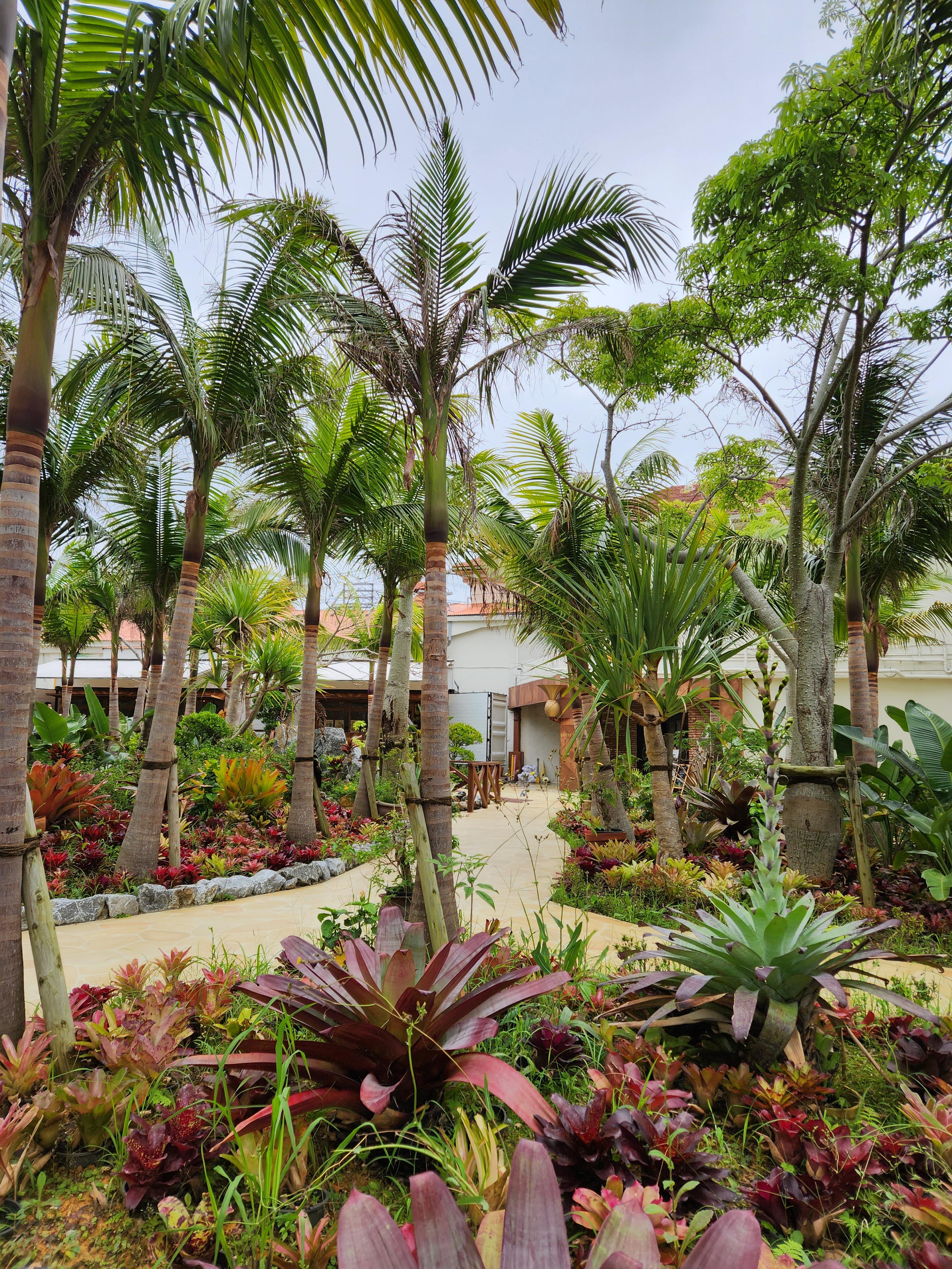 오키나와 나고 파인애플 파크