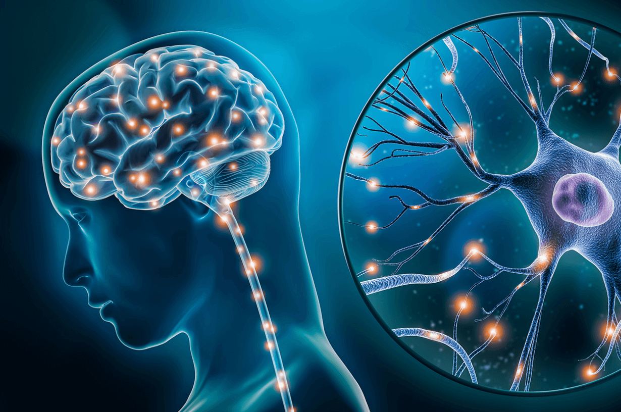 세로토닉 부족 원인