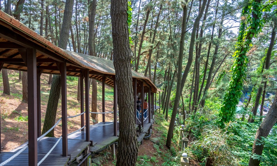 보령 가볼만한곳 (죽도 상화원)