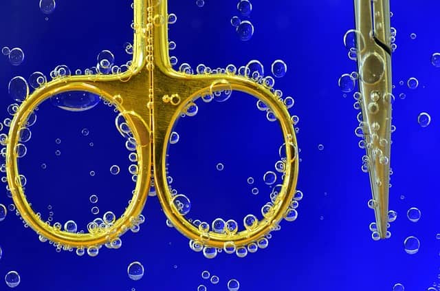 건강함을 지키는 필수 지침 식품위생