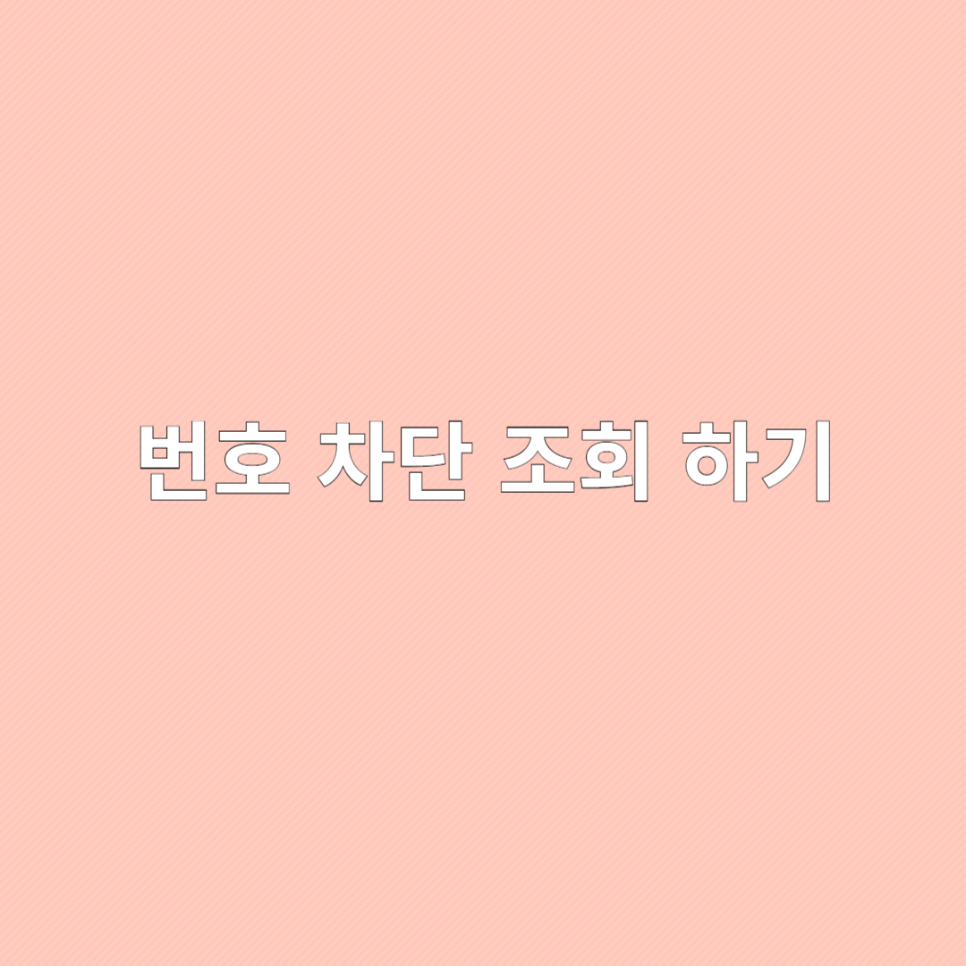 모르는 번호 조회 차단 방법 + 개인정보 보호 꿀팁