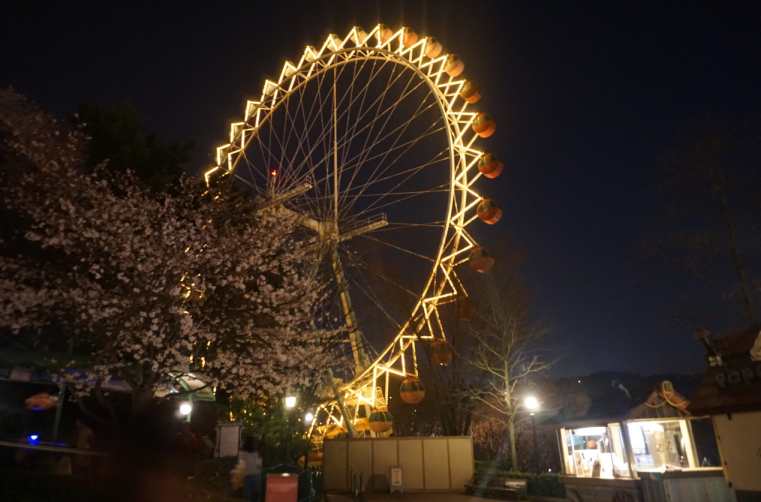 에버랜드 업체등록사진