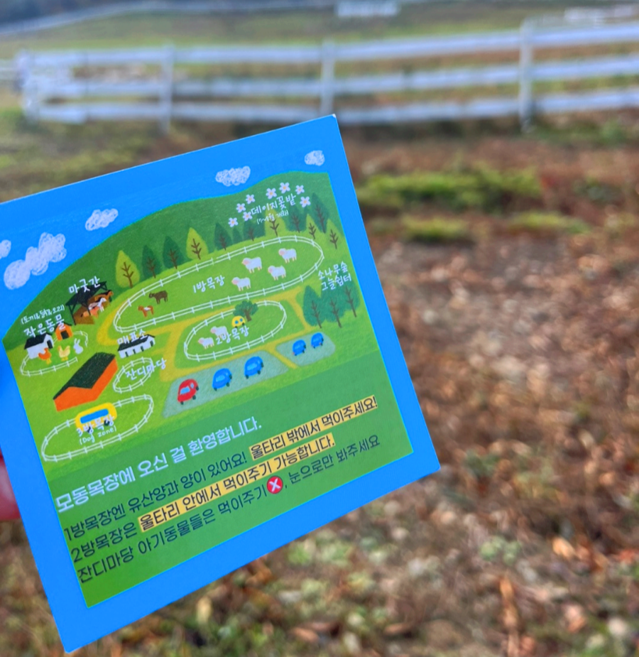 경북 상주 모동목장