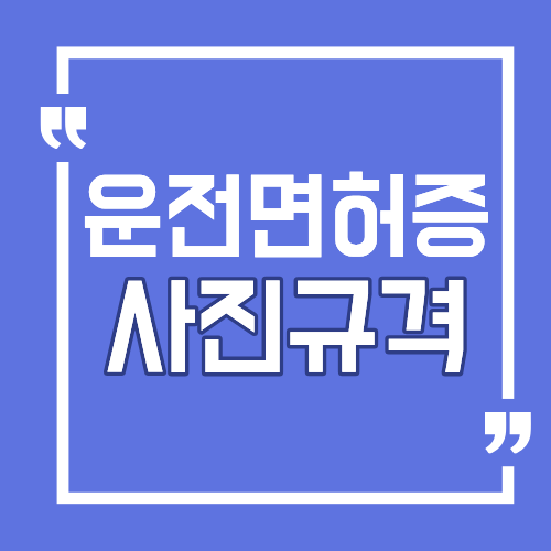 운전면허 갱신 사진규격