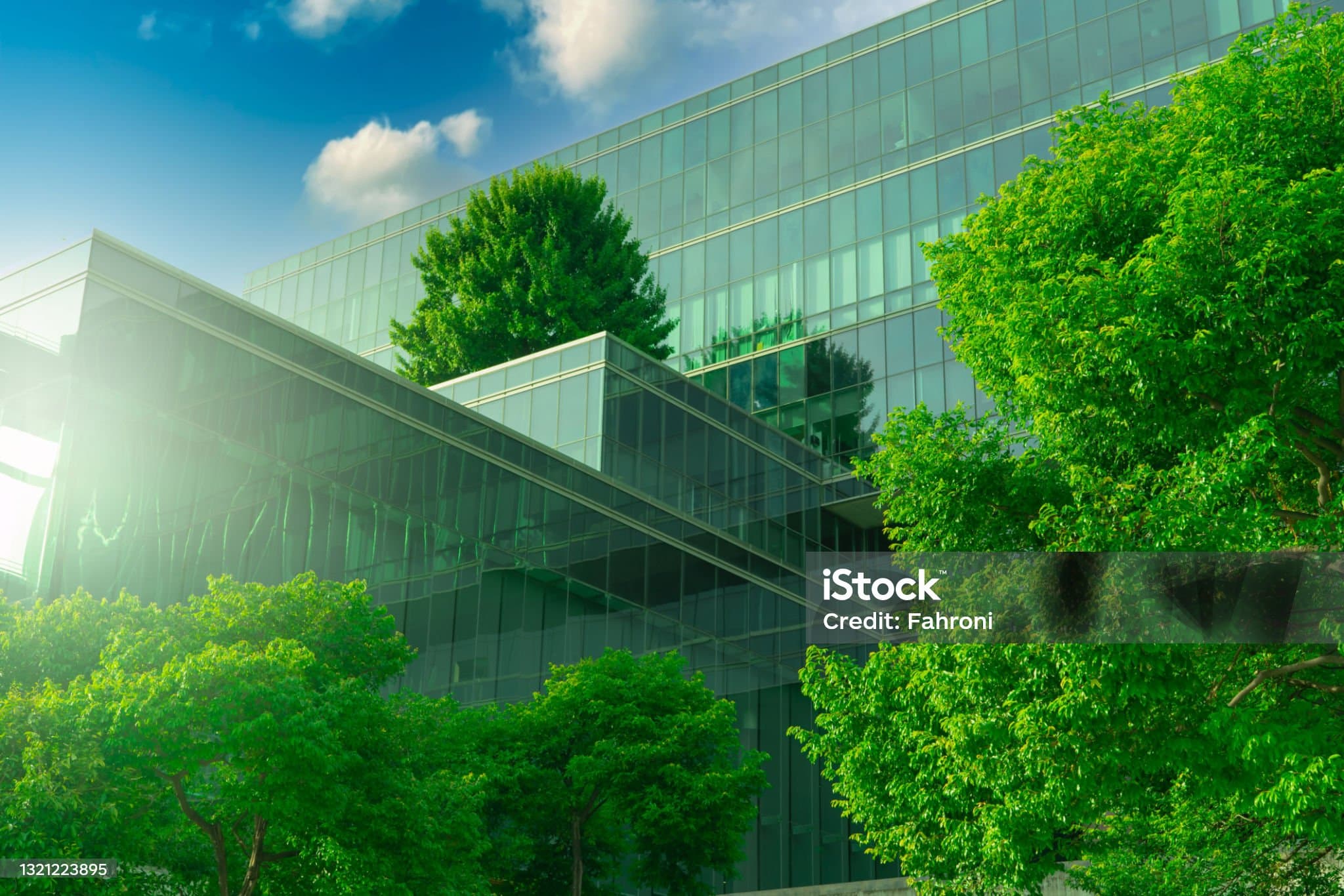 섬망 환자를 위한 환경 조성 – 빛, 소리, 냄새, 시계로 뇌를 안정시키는 방법