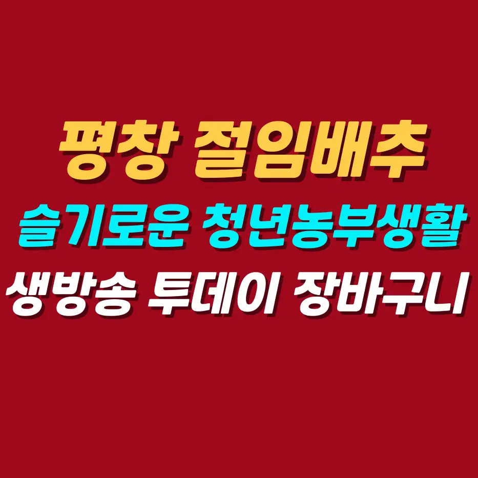 평창-절임배추-슬기로운청년농부생활
