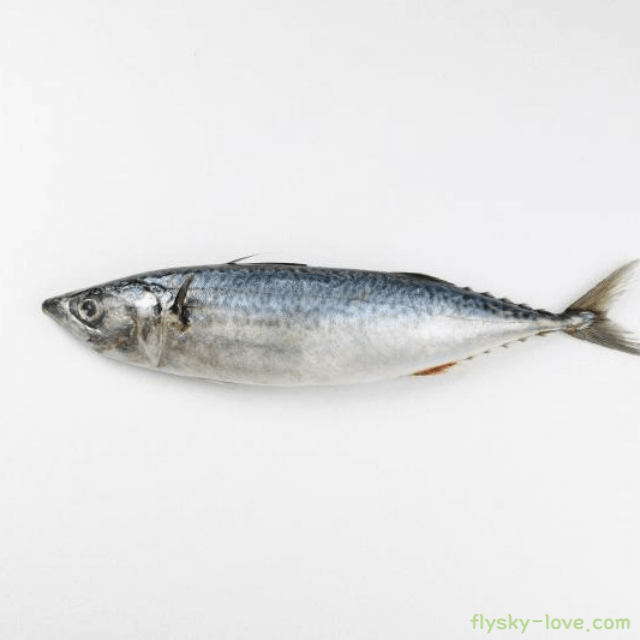 고등어 주요 성분