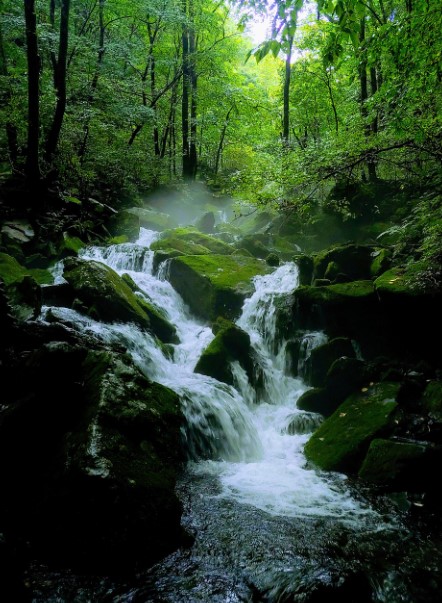 환하게 해가 비치는 계곡 사진
