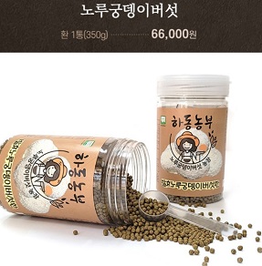 노루궁뎅이버섯