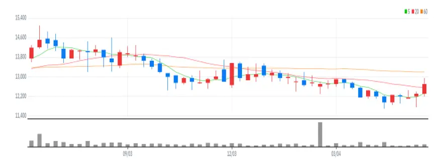 아이디스홀딩스 주봉