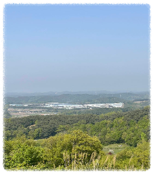 성왕산
