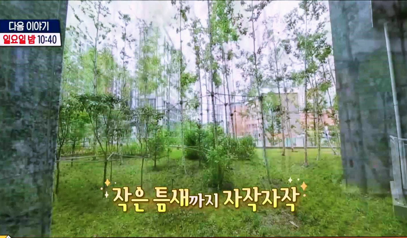 구해줘홈즈-경기-동서울-한강뷰-아파트-아치울-마을-다등이-집-찬성-하우스-3분-짜잔-아파트-파마존-하우스-자작나무