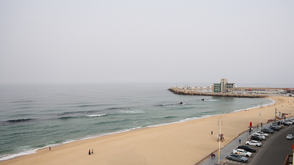 강릉의 안목해변