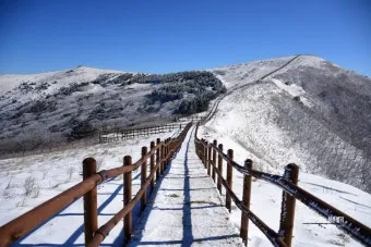 소백산 등산코스 지도 비로봉 초보코스 대중교통 휴식포인트_3