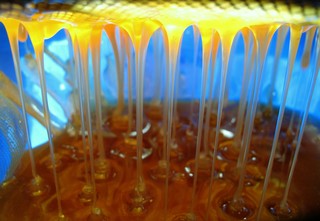 프로폴리스의 좋은점