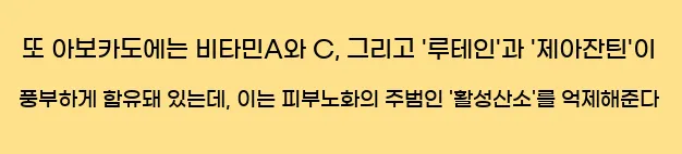  또 아보카도에는 비타민A와 C, 그리고 '루테인'과 '제아잔틴'이 풍부하게 함유돼 있는데, 이는 피부노화의 주범인 '활성산소'를 억제해준다