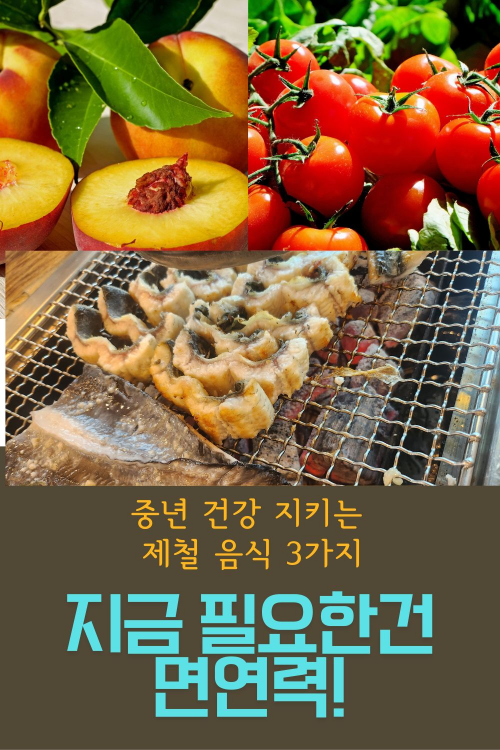 토마토, 복숭아, 장어로 구성된 중년 건강 위한 여름철 제철 음식 썸네일 이미지 – 지금 필요한 건 면역력이라는 메시지를 담다