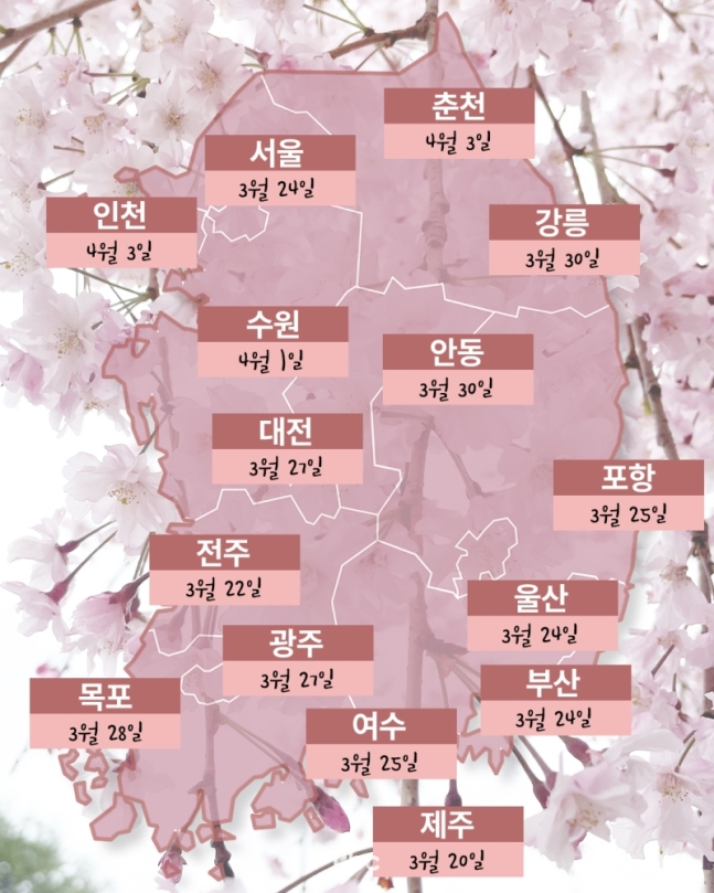2024년 벚꽃지도