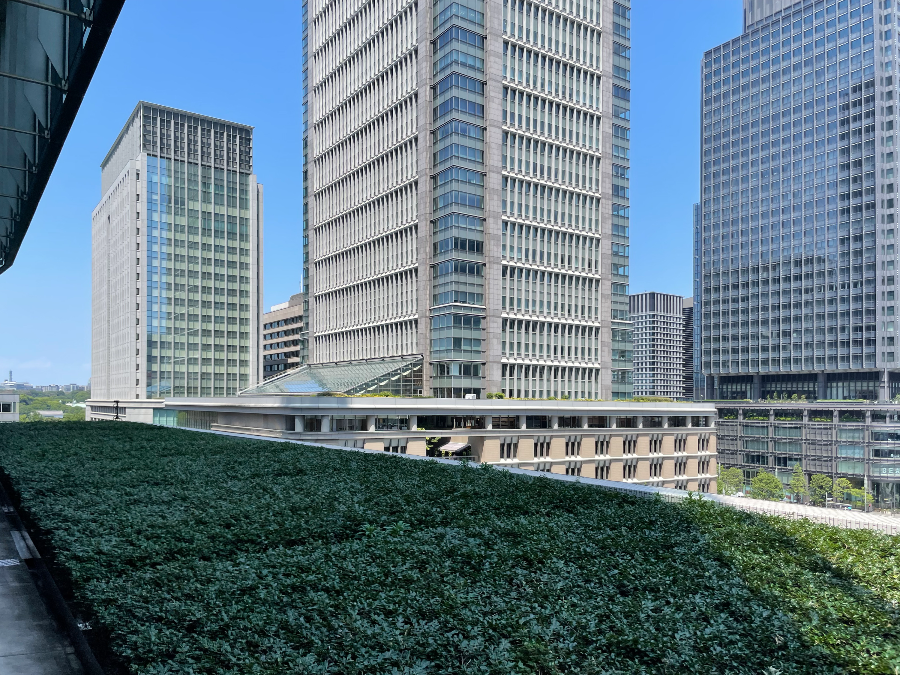 도쿄역 킷테 마루노우치 타워 킷테 정원