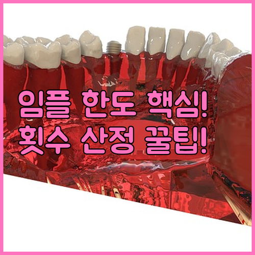 치아보험 임플란트 보장 한도 설정 기..
